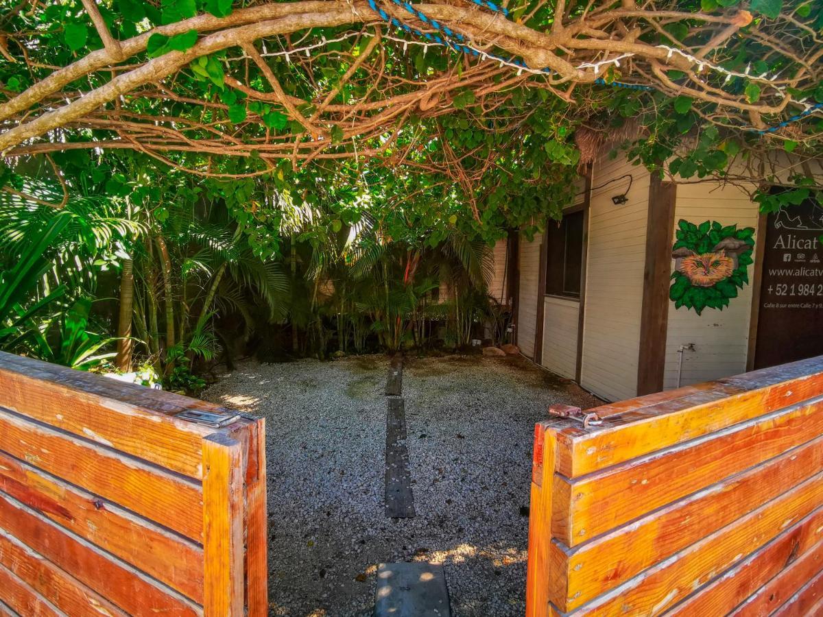 Alicat Villas Tulum Exteriér fotografie